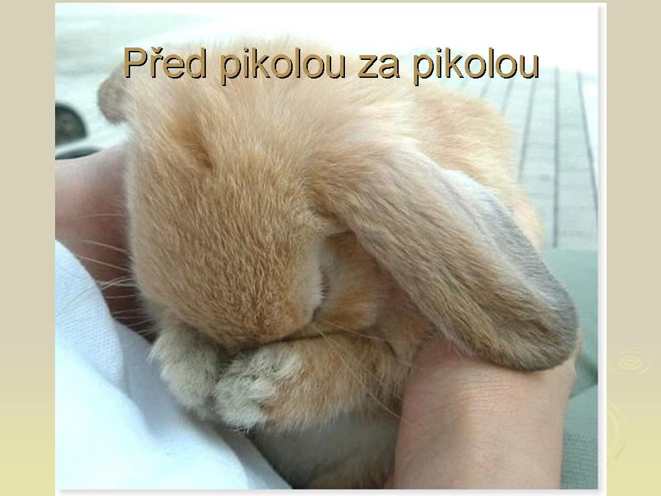 Snímek17.JPG